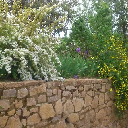 Nyaraló El Campito - *