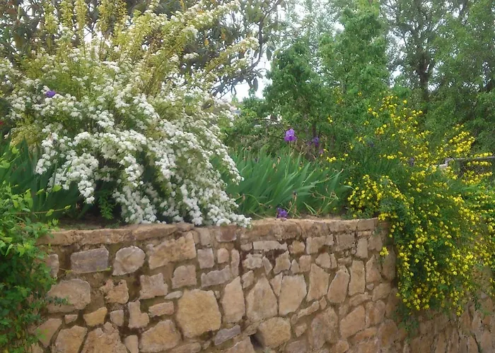 בית נופש El Campito - *